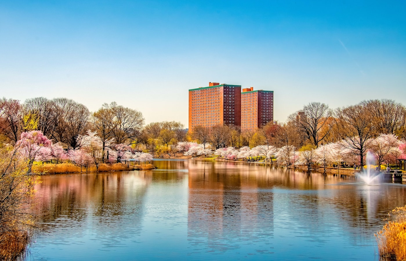 body of water near trees and buildings during daytime